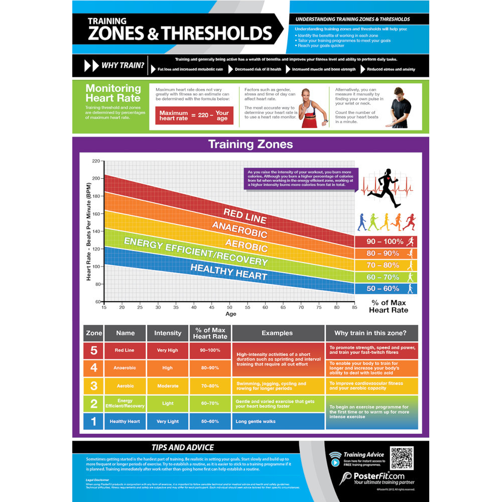 Product Image 5 - POSTERFIT CONDITIONING CHART SET