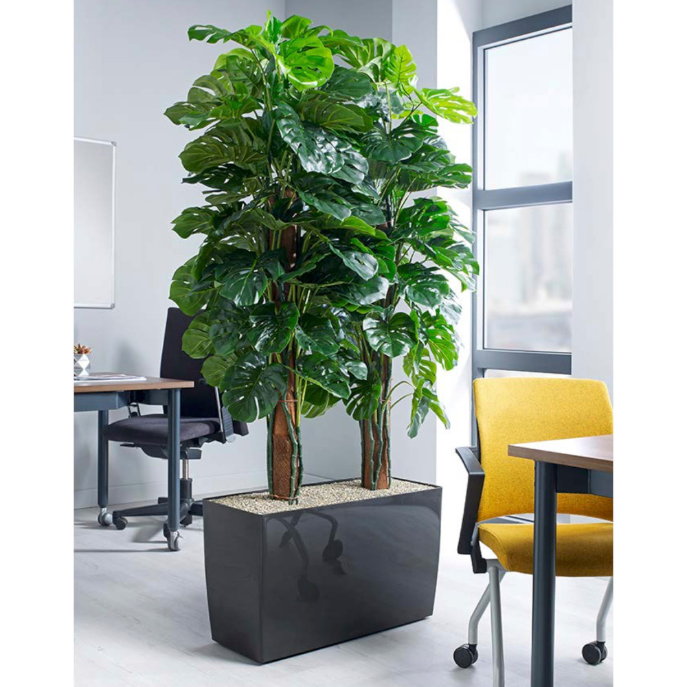 Product Image 1 - CHEESE PLANT TROUGH