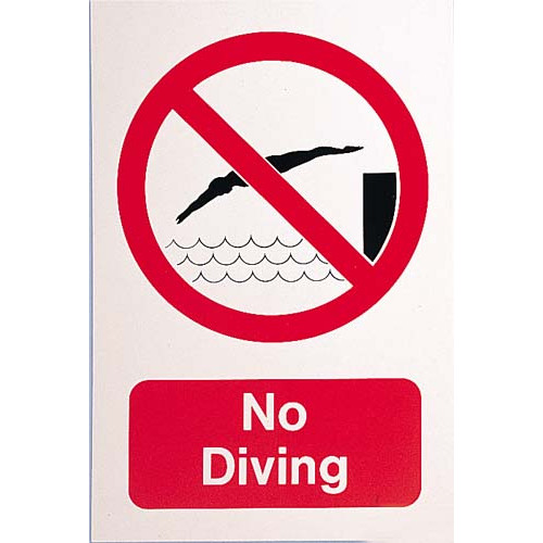 Product Image 1 - NO DIVING SIGN - LARGE