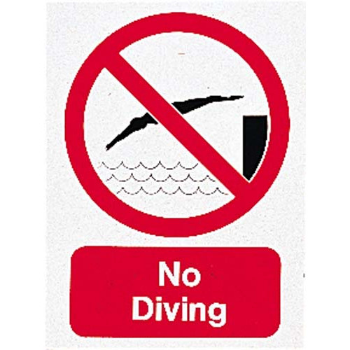 Product Image 1 - NO DIVING SIGN - SMALL