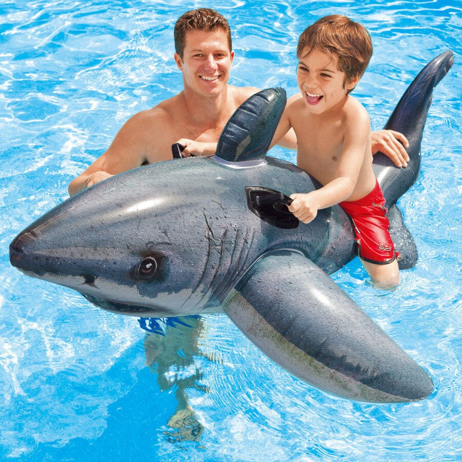 Product Image 2 - GREAT WHITE SHARK RIDE-ON