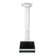 Thumbnail Image 1 - SECA 769 DIGITAL COLUMN SCALE WITH BMI FUNCTION